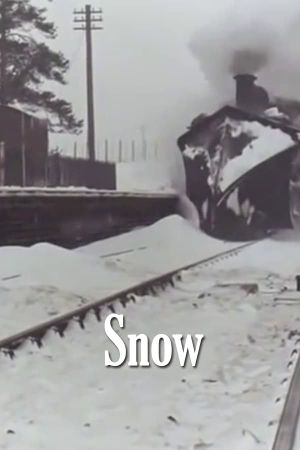 Snow's poster