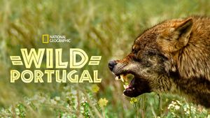 Wild Portugal's poster