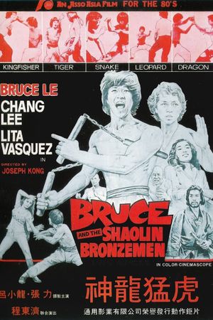 Bruce and the Shaolin Bronzemen's poster