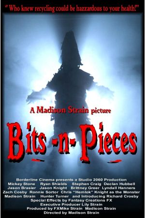 Bits-n-Pieces's poster