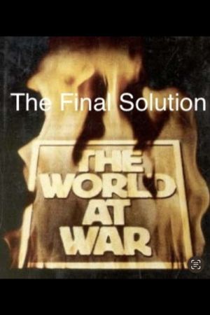 The Final Solution's poster