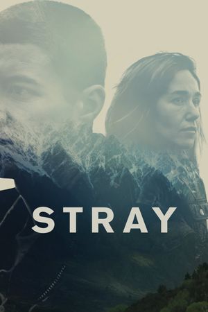 Stray's poster
