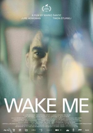 Wake Me's poster