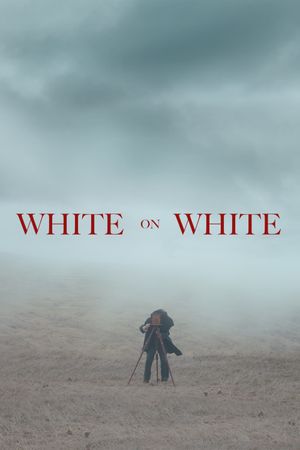 White on White's poster