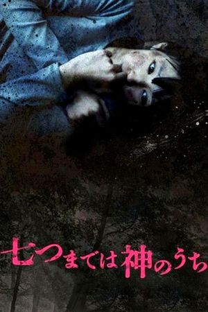 Vanished Girl in the Woods's poster
