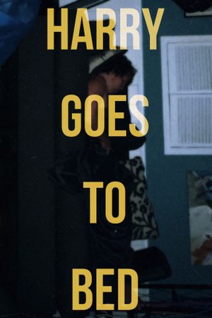 Harry Goes To Bed's poster