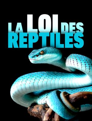 The Law of Reptiles's poster