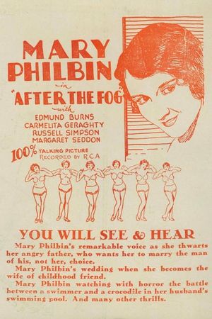 After the Fog's poster