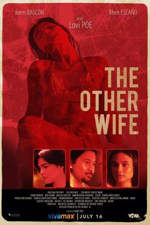 The Other Wife's poster