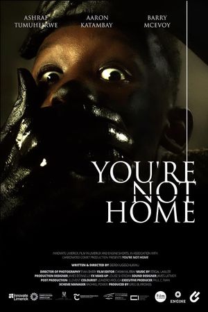 You're Not Home's poster image