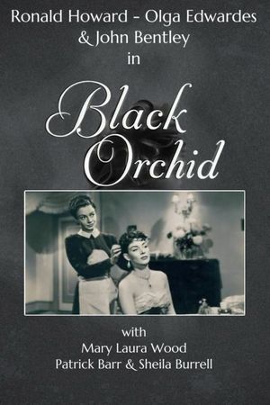 Black Orchid's poster