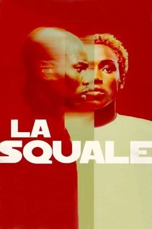 The Squale's poster
