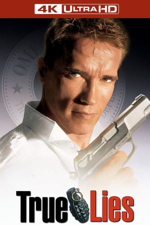 True Lies's poster