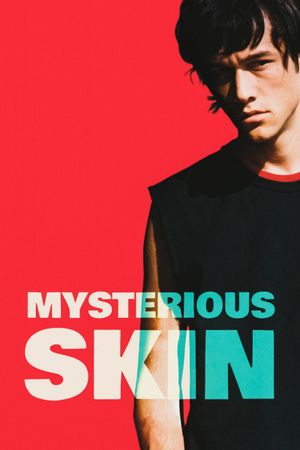 Mysterious Skin's poster