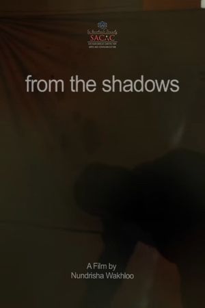 From the Shadows's poster