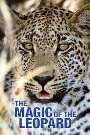 The Magic of the Leopard's poster