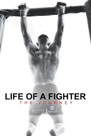 Life of a Fighter: The Journey's poster