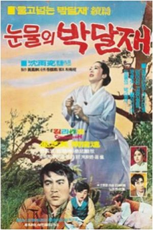 눈물의 박달재's poster