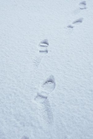 Terza passeggiata - Sulla neve's poster