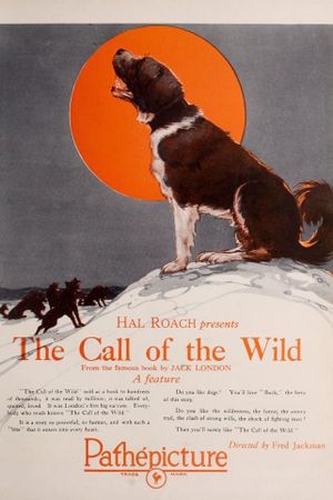 Call of the Wild's poster
