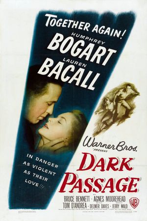 Dark Passage's poster