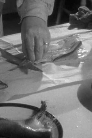 Herrings's poster