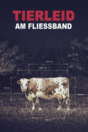 Production Line Animals's poster