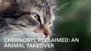 Chernobyl Reclaimed: An Animal Takeover's poster