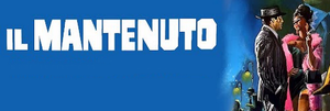Il mantenuto's poster
