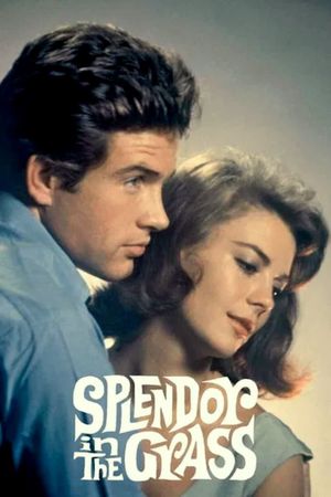 Splendor in the Grass's poster