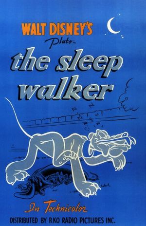 The Sleepwalker's poster image