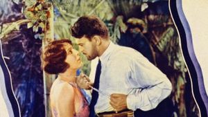 Tropical Nights's poster
