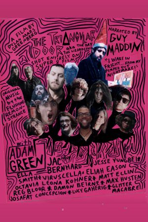 The Triangular Door's poster