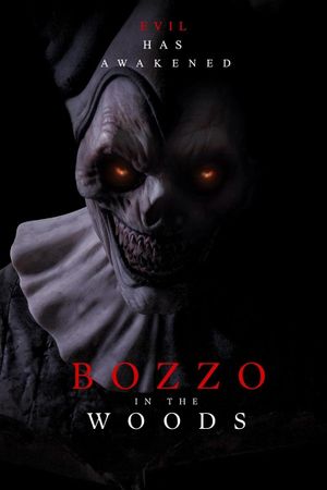 Bozzo in the woods's poster