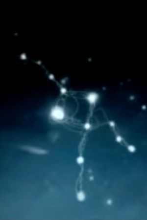 Desired Constellation's poster