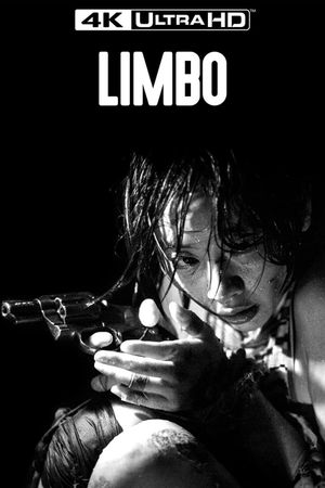 Limbo's poster