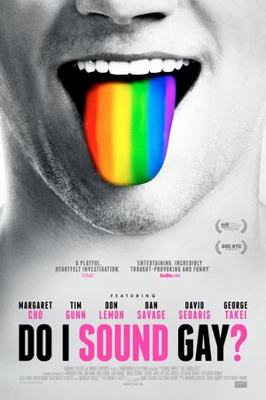 Do I Sound Gay?'s poster