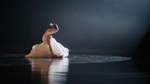 Black Swan: Metamorphosis's poster