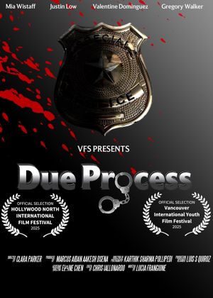 Due Process's poster
