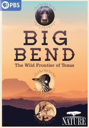 Big Bend: The Wild Frontier of Texas's poster