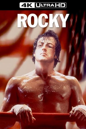 Rocky's poster