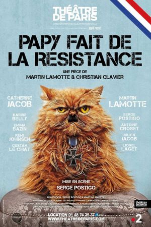 Papy fait de la résistance's poster image