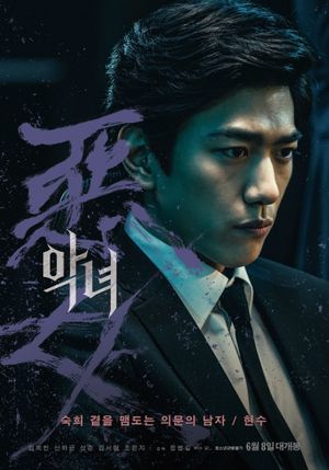 The Villainess's poster