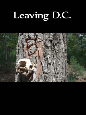 Leaving D.C.'s poster