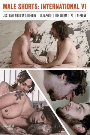 Male Shorts International V1's poster