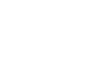 The Dry's poster