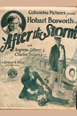 After the Storm's poster image