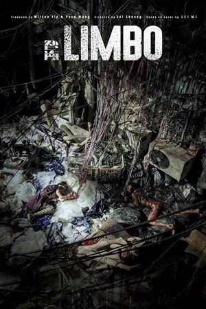 Limbo's poster