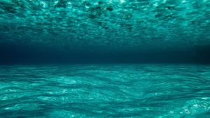 OceanWorld 3D's poster