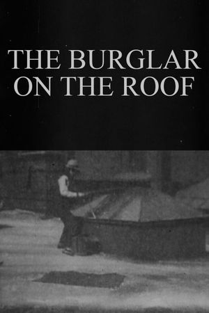The Burglar on the Roof's poster